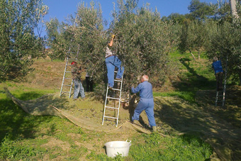 Agriturismo in Toscana | Villa nella campagna toscana in provincia di Arezzo