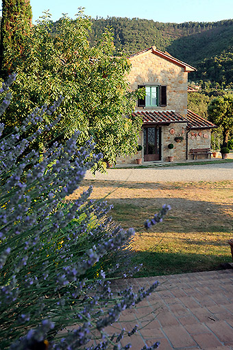 Regolamento, prezzi e servizi agriturismo in Toscana con piscina e wi-fi