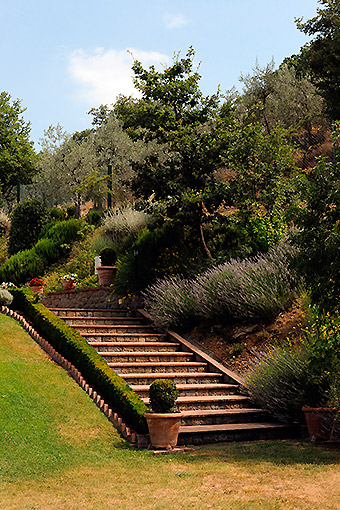 Regolamento, prezzi e servizi agriturismo in Toscana con piscina e wi-fi