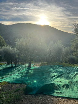 Foto casale in Toscana | Immagini e fotografie agriturismo ad Arezzo